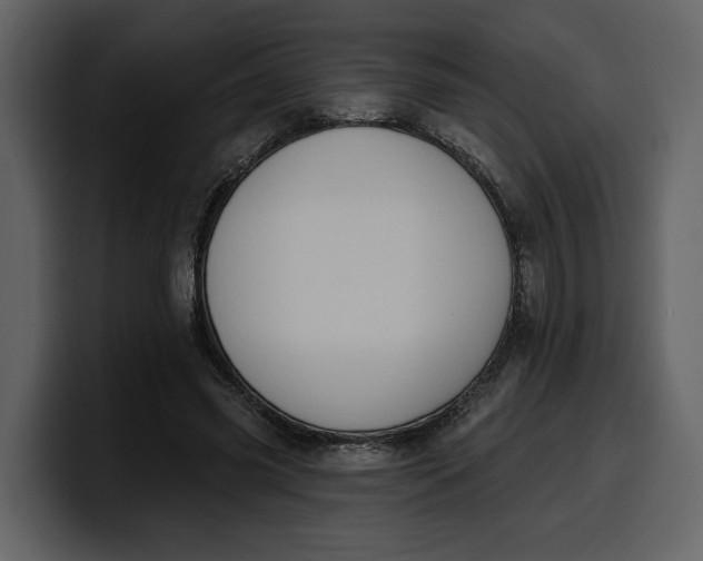 X0000100320541200806191005