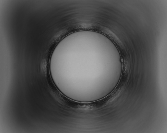 X0000100320542200806191005