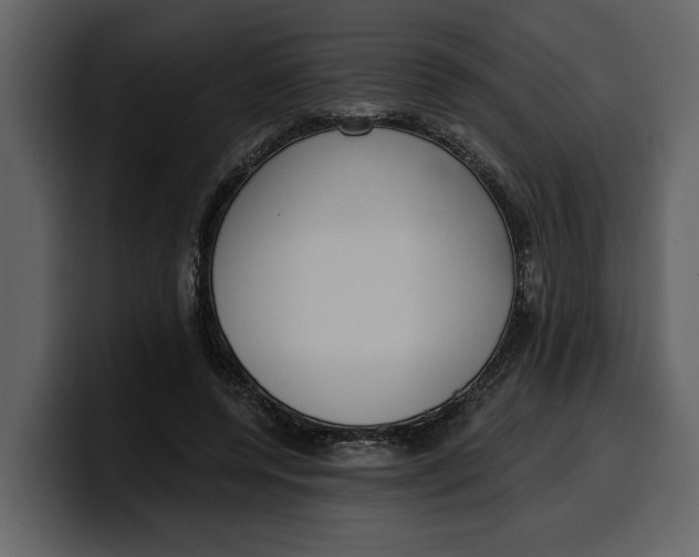 X0000100320544200806191005