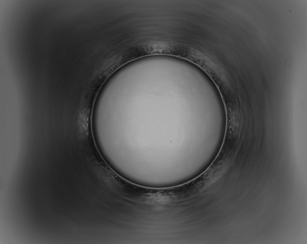 X0000100320545200806191005