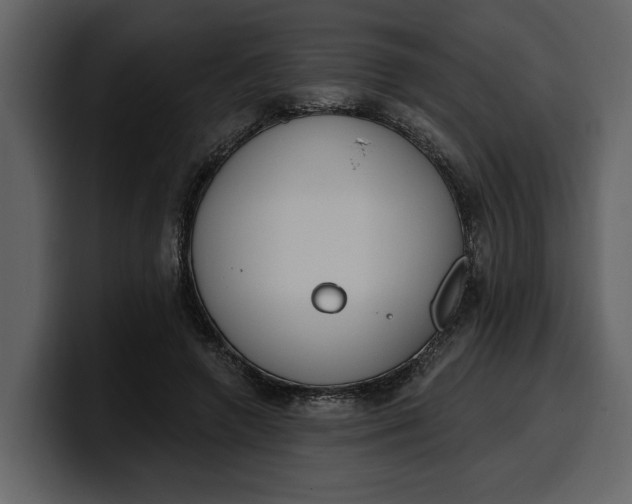 X0000100320546200806191005