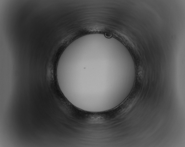 X0000100320547200806191005