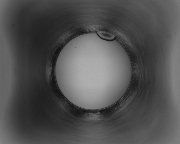 X0000100320548200806191005