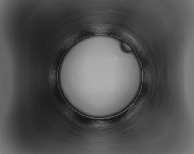 X0000100320549200806191005