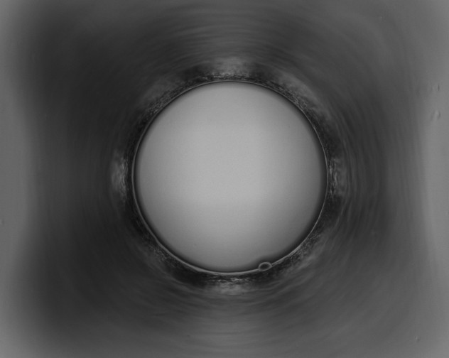 X0000100320550200806191005