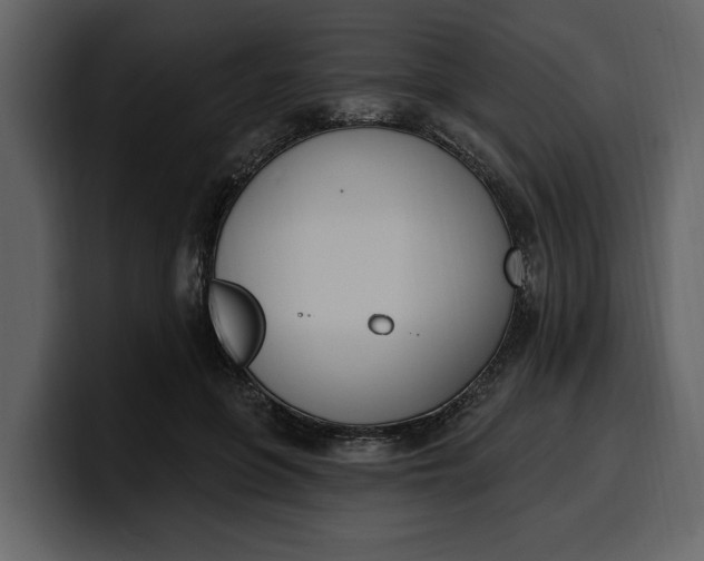 X0000100320551200806191005