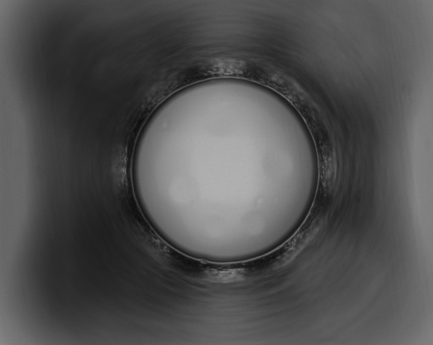 X0000100320553200806191005