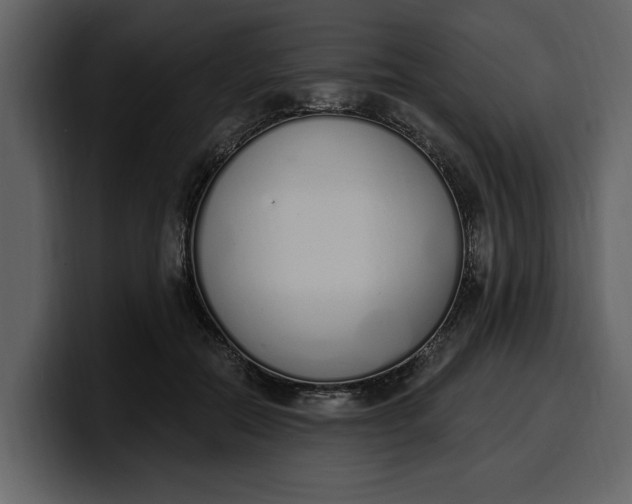 X0000100320554200806191005