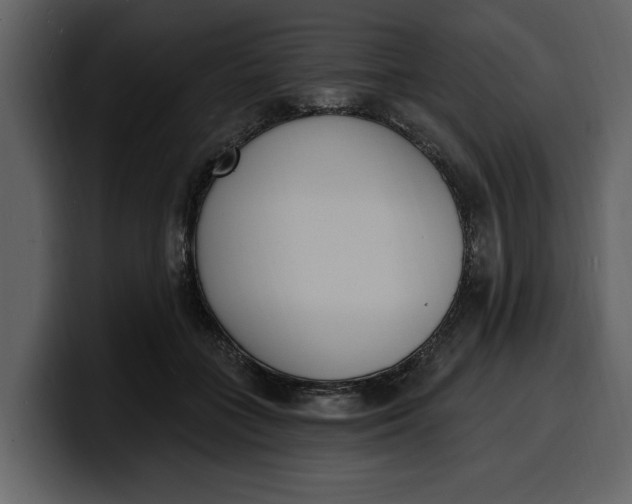 X0000100320555200806191005