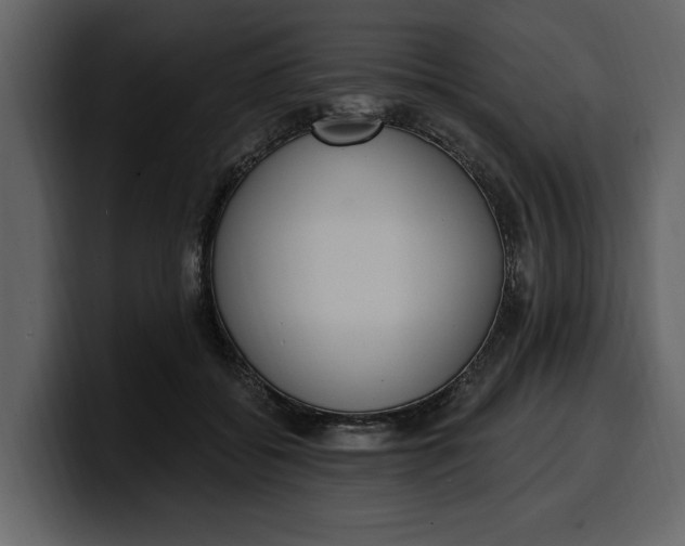 X0000100320556200806191005