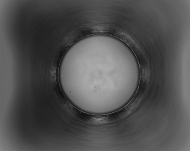 X0000100320557200806191005