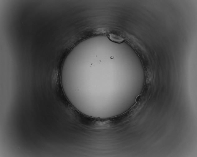 X0000100320560200806191005