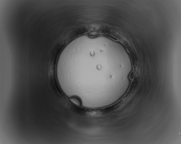 X0000100320561200806191005