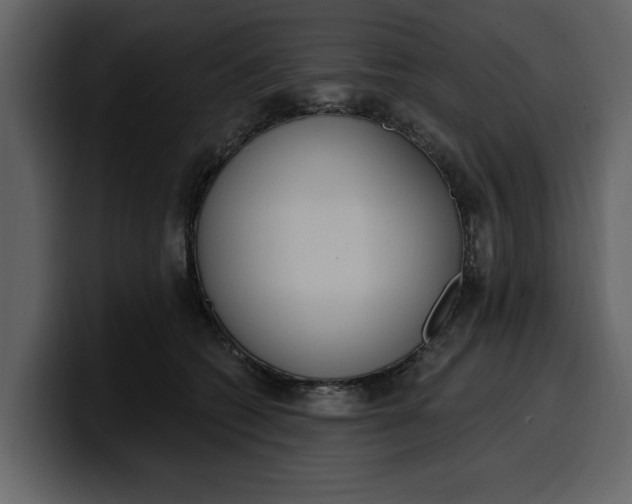 X0000100320562200806191005