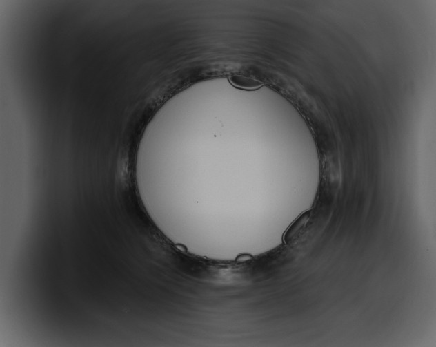 X0000100320564200806191005