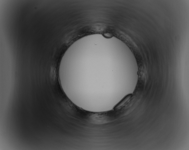 X0000100320568200806191005