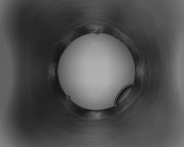 X0000100320570200806191005