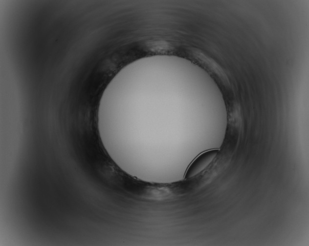 X0000100320572200806191005