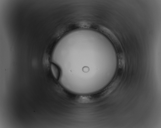 X0000100320573200806191005