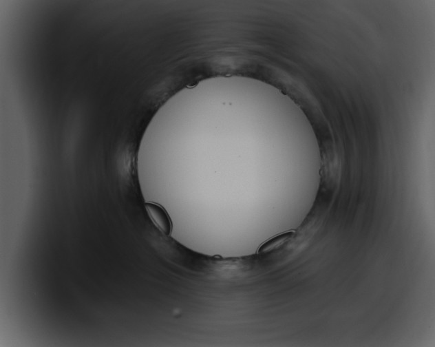 X0000100320574200806191006