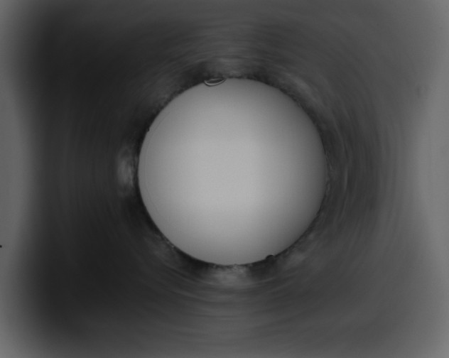 X0000100320576200806191006