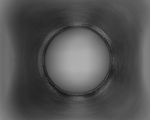 X0000100320577200806191005