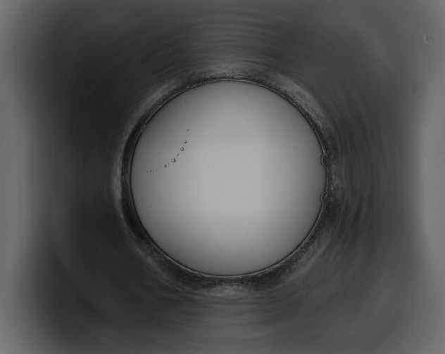 X0000100320578200806191005