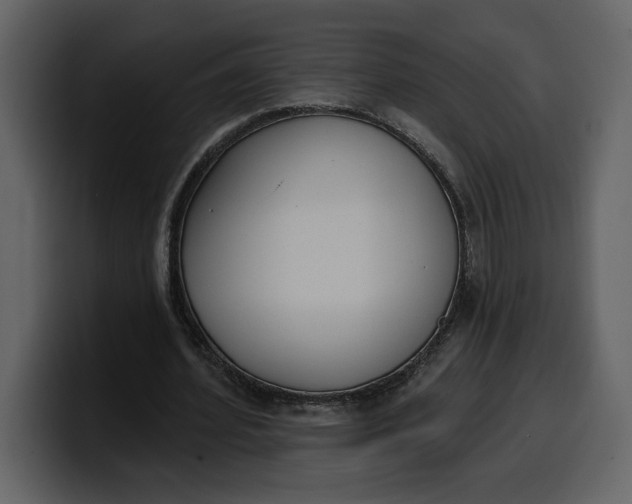 X0000100320580200806191005