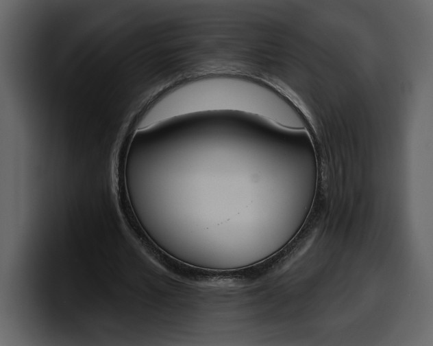 X0000100320581200806191005