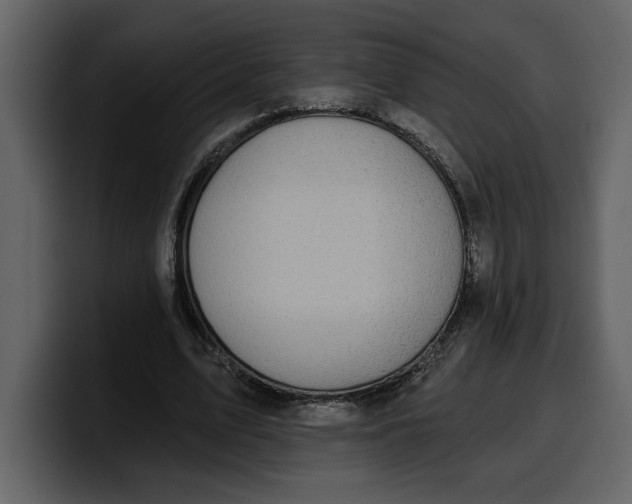 X0000100320583200806191005