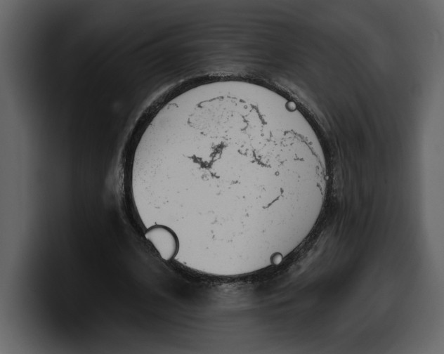 X0000100320584200806191005