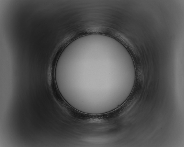 X0000100320586200806191005