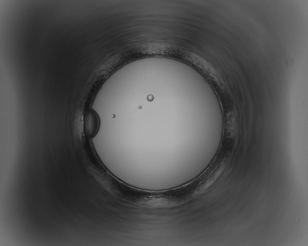 X0000100320589200806191005