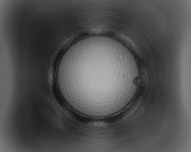 X0000100320590200806191005