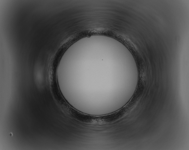 X0000100320591200806191005