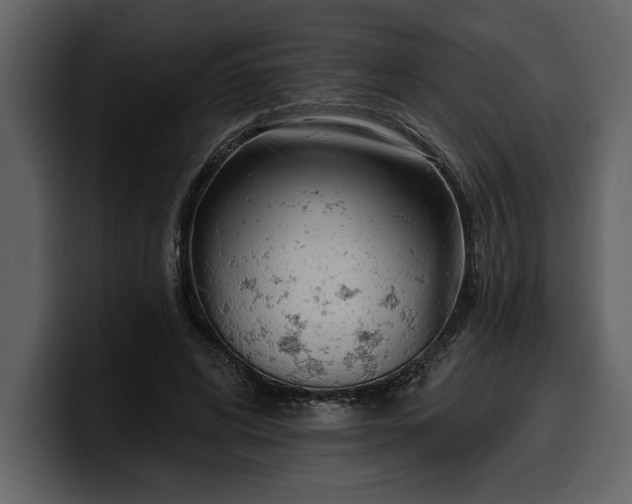 X0000100320592200806191005