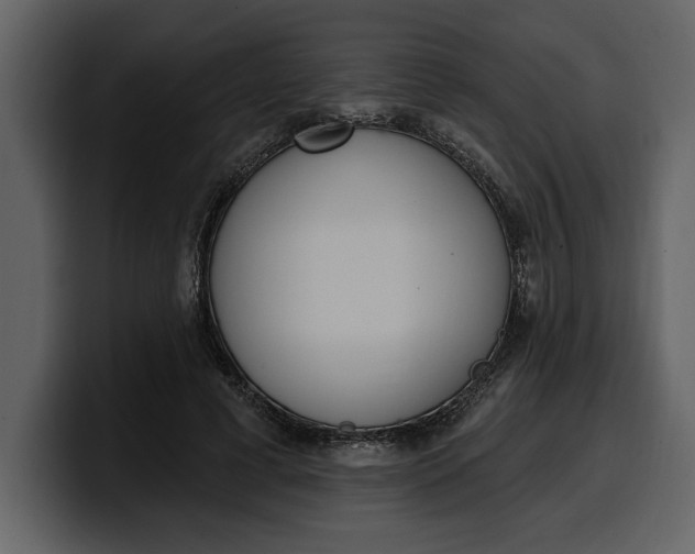 X0000100320593200806191005