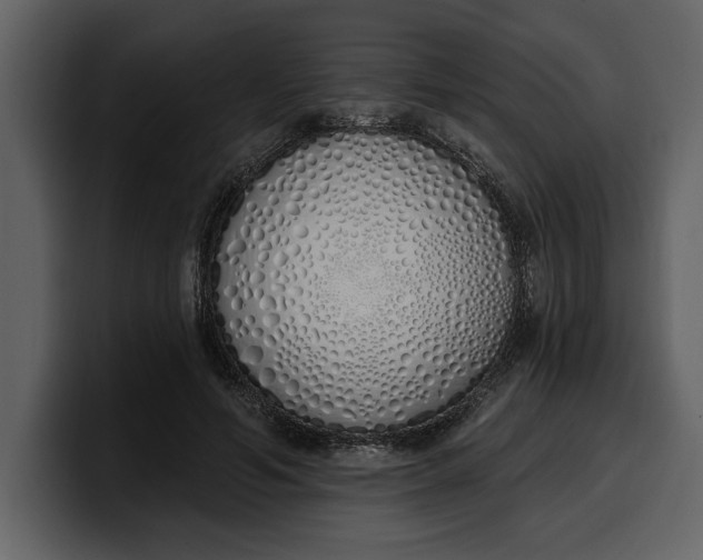 X0000100320594200806191005