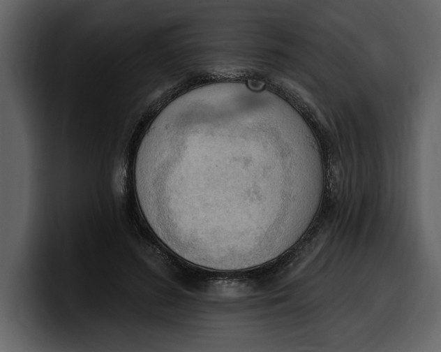 X0000100320596200806191005