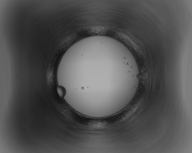 X0000100320597200806191005