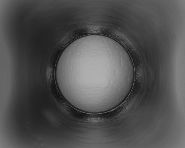 X0000100320598200806191005