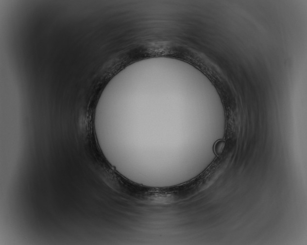 X0000100320601200806191005