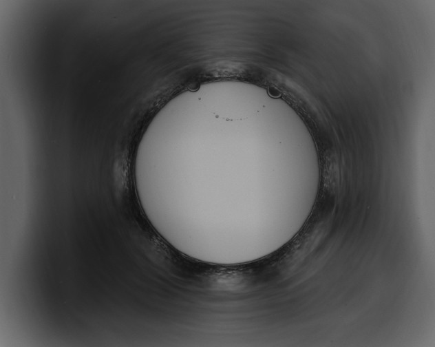 X0000100320604200806191004