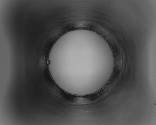 X0000100320605200806191004