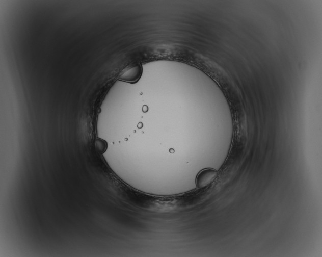 X0000100320606200806191004