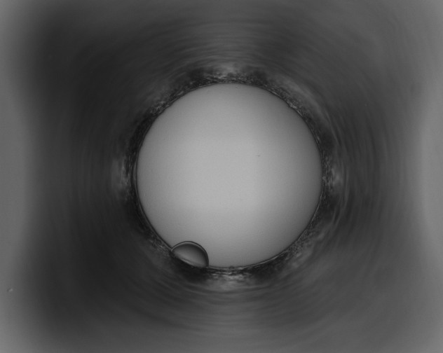 X0000100320607200806191004