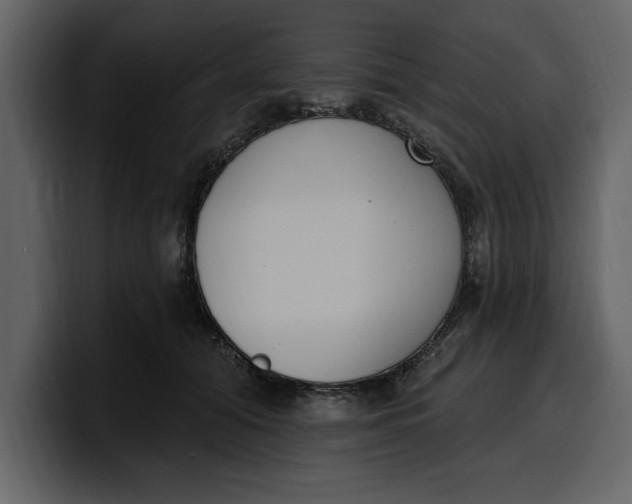 X0000100320608200806191004