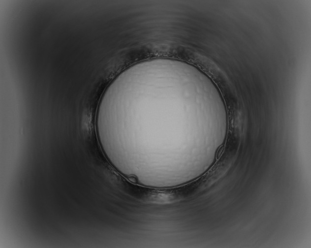 X0000100320610200806191004