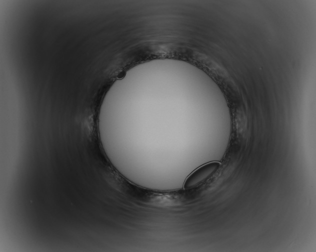 X0000100320611200806191004