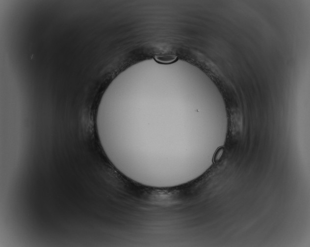 X0000100320613200806191004